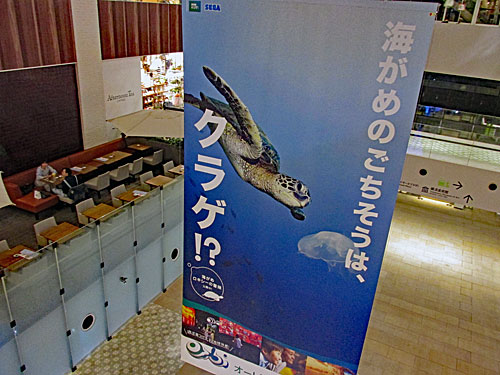 a0188487_1133441.jpg
