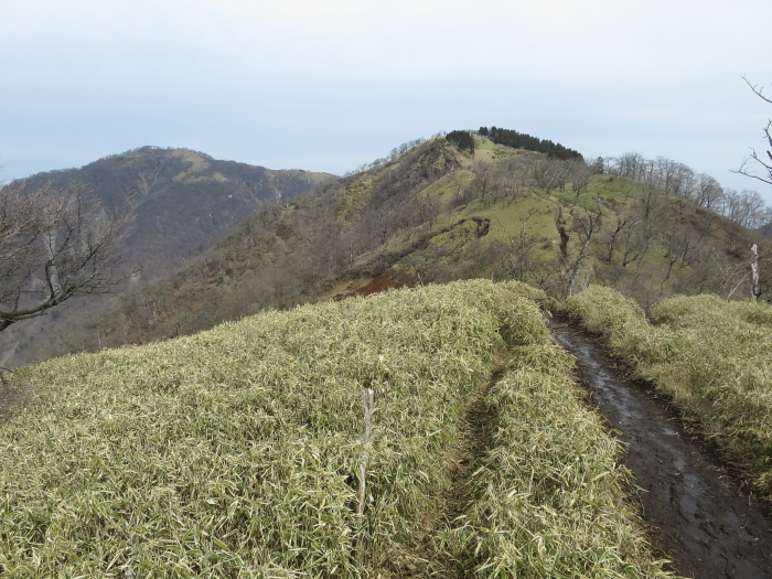 丹沢山　前編_b0339488_21384943.jpg