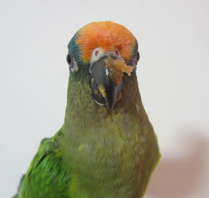 f0234590_9414356.png