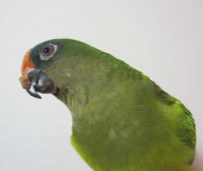 f0234590_9414815.png