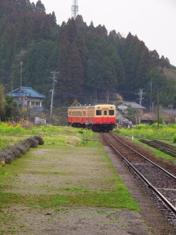 d0021491_00011607.jpg