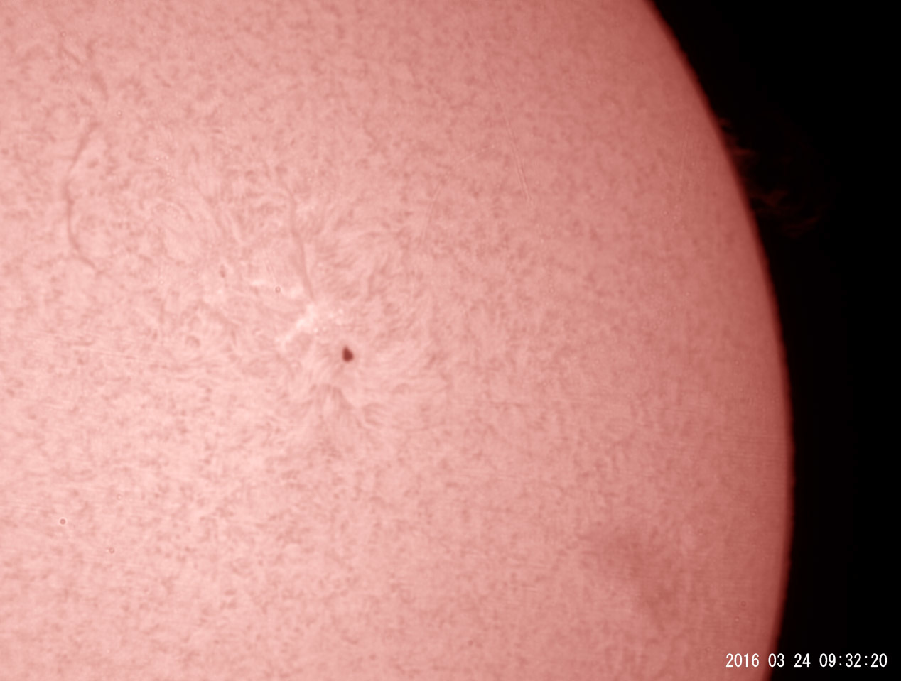 3月24日の太陽_e0174091_14034715.jpg