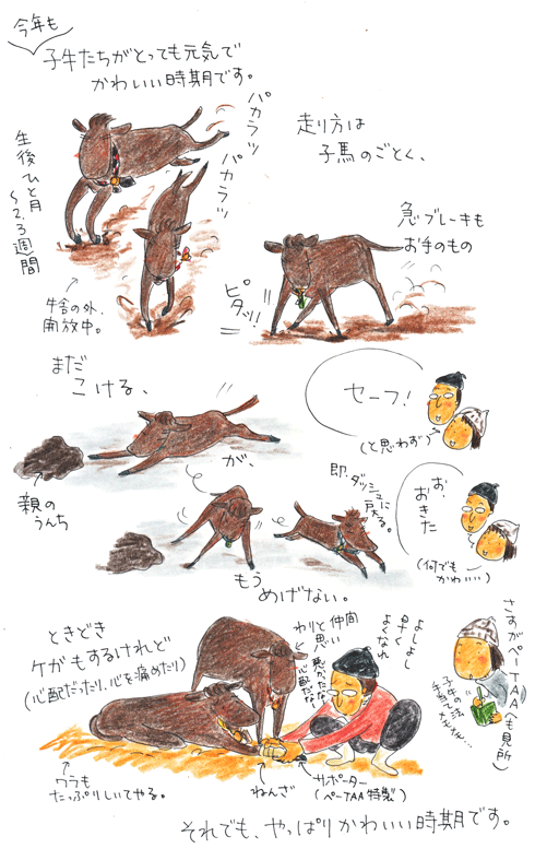 f0236291_13461713.gif