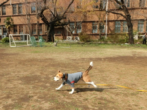 a0319693_8264680.jpg