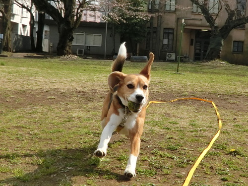 a0319693_8274837.jpg