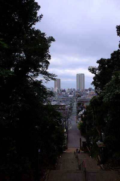 真間山弘法寺_d0256494_06193384.jpg