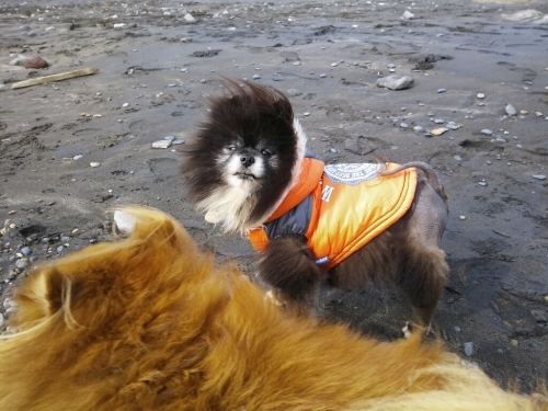 c0128896_22063845.jpg