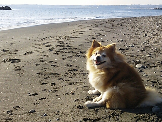 c0128896_22064483.jpg