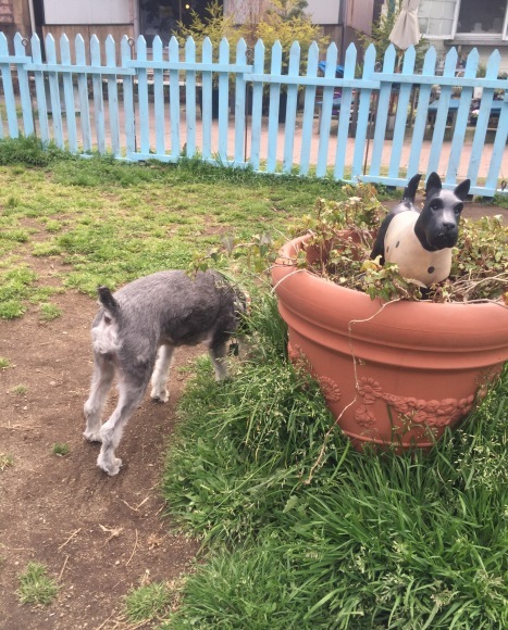 b0188998_23515670.jpeg