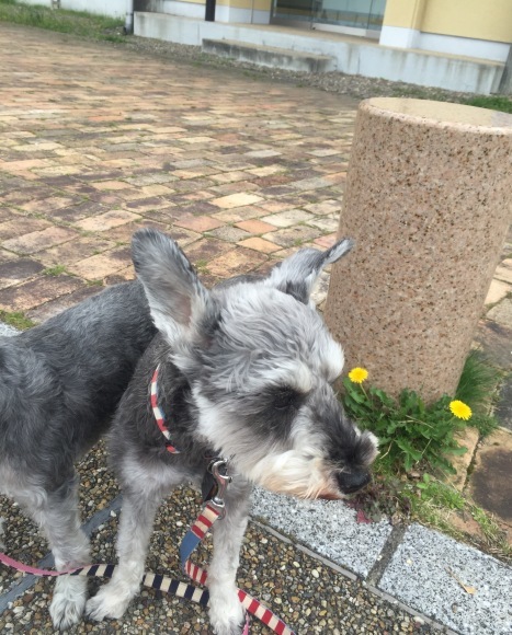 b0188998_23534338.jpeg