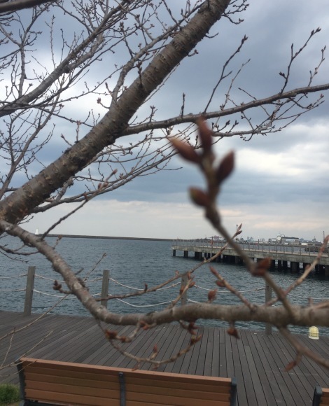 b0188998_23545191.jpeg