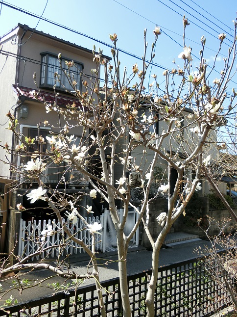e0234004_22583545.jpg