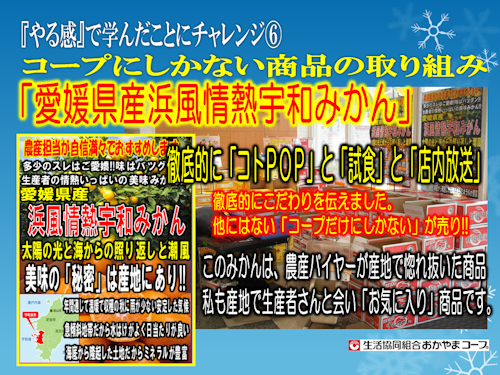 f0070004_1945898.png