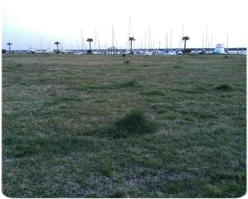 d0347205_22155221.jpg