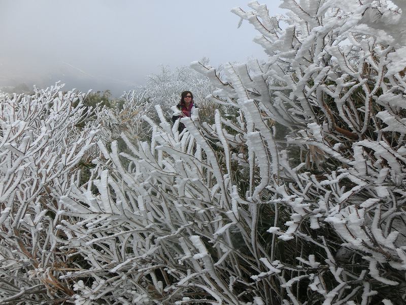 まだまだ雪が多い　氷ノ山と　扇ノ山_b0124306_23242617.jpg