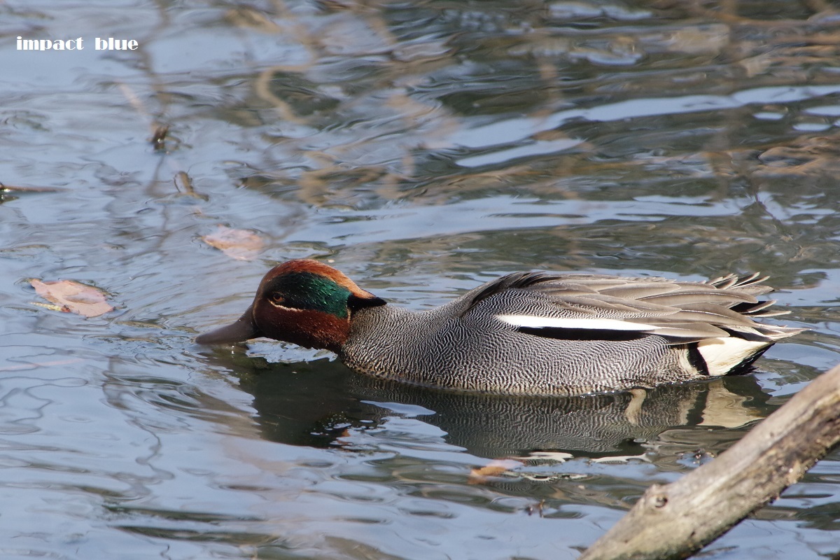 連休の自然公園パート2♪_a0355908_19214970.jpg