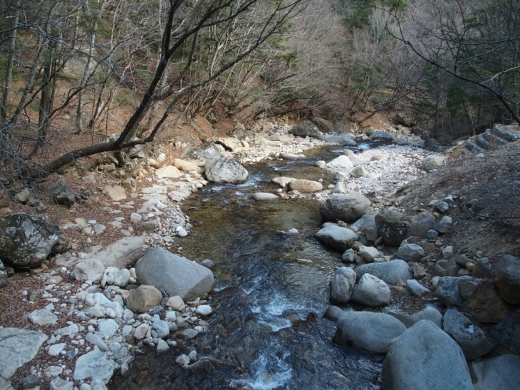 a0335310_23541364.jpg