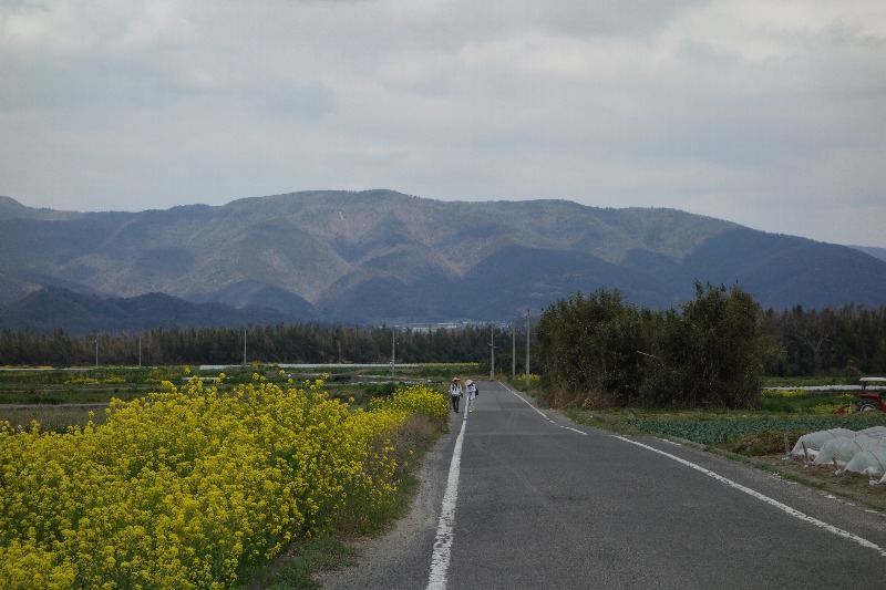 ３月２５日(fri) 晴れ ／ ミニ遍路、藤井寺へ.._a0059311_20515616.jpg