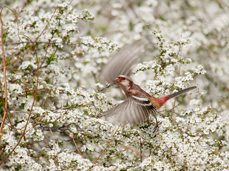 3/21 S公園にて_f0051915_75986.jpg