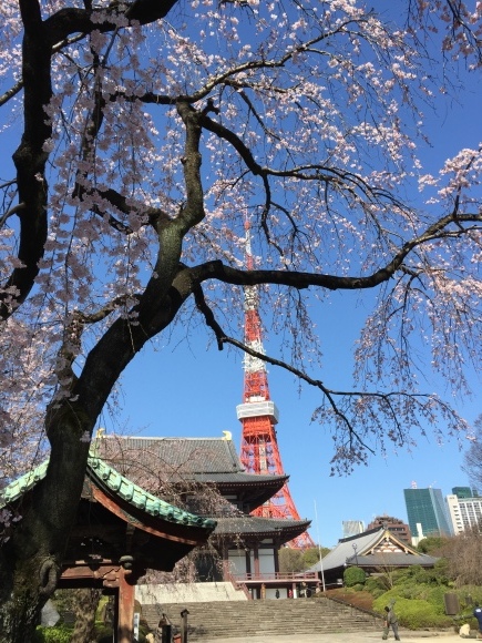 b0164428_20285619.jpeg