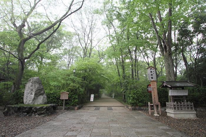 下鴨神社（前編）_b0169330_729983.jpg