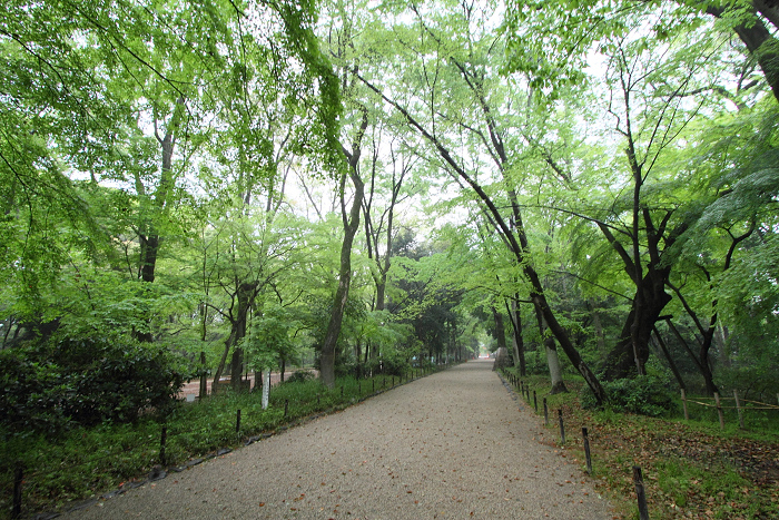 下鴨神社（前編）_b0169330_7304289.jpg