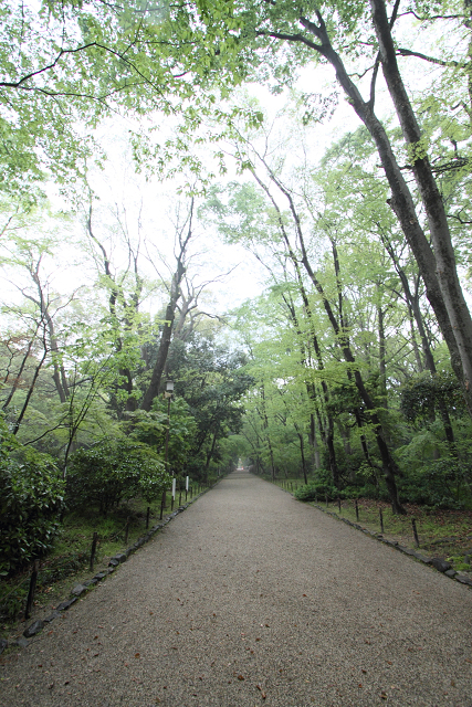 下鴨神社（前編）_b0169330_730918.jpg