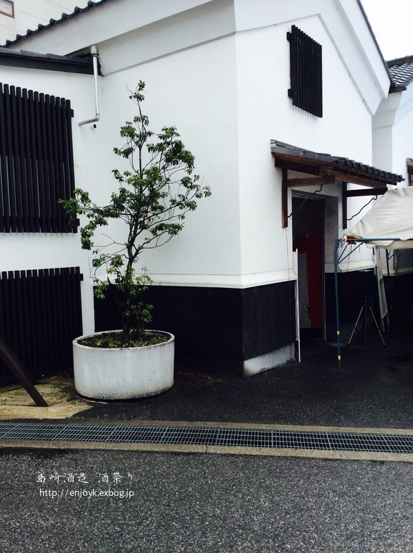 d0269832_12210554.jpeg
