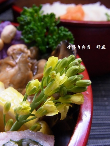 b0244034_12552194.jpg