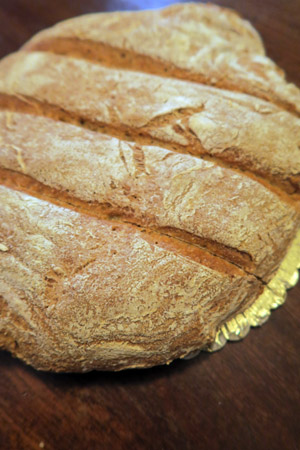 古代小麦育ててパンとピザ作り_f0234936_8232769.jpg