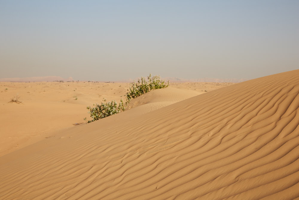 d0139939_17164470.jpg