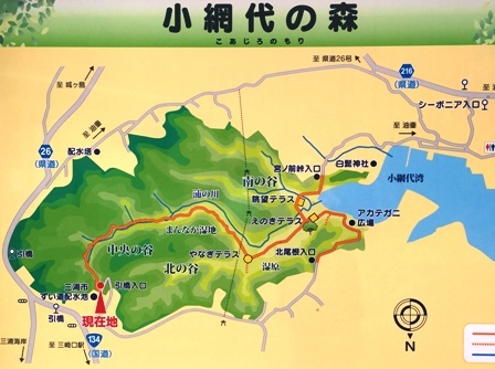 b0330040_22152742.jpg