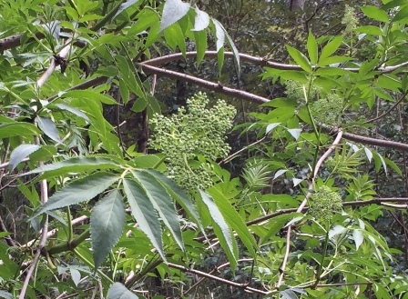 b0330040_22214562.jpg