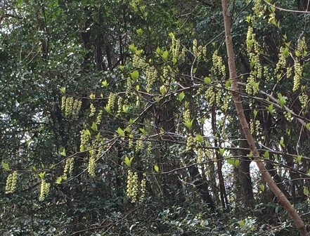 b0330040_22231256.jpg