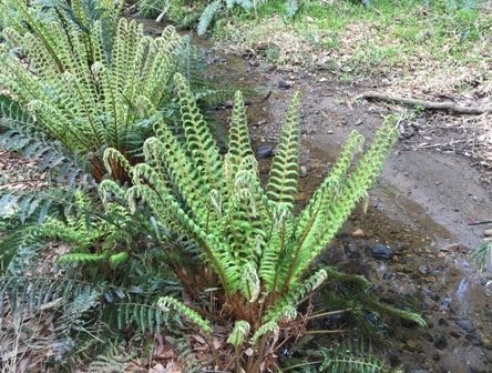 b0330040_22423378.jpg