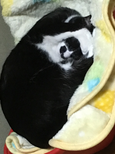 e0343253_20121091.jpg