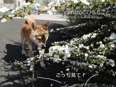 a0286855_621911.gif