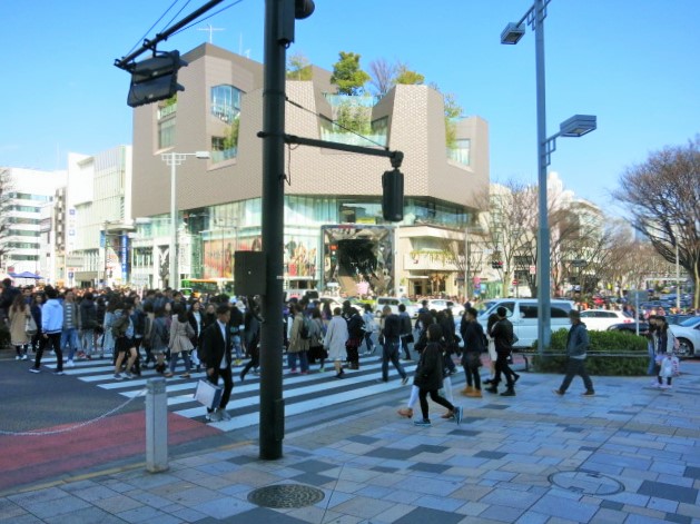 f0236260_12291290.jpg
