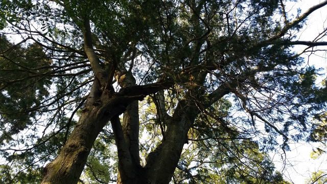 f0129761_120276.jpg