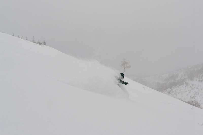 極上の3月POWDER_d0110562_21515306.jpg