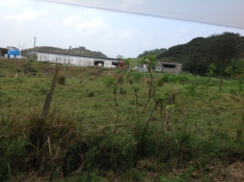 クラフトあまた沖縄たより 「島んちゅと島の自然」_b0153663_00270770.jpeg