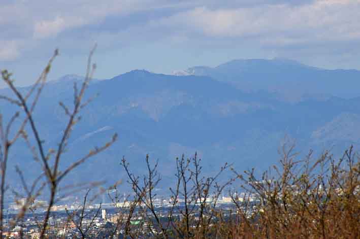 夫婦桜の夫桜が満開、案内板の“彫り”完了：3・25_c0014967_18141496.jpg