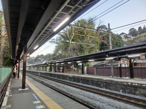 e0045768_2250954.jpg