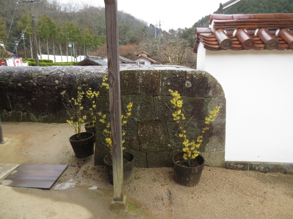 岡山・兵庫 建築視察(6)旧閑谷学校_c0310571_22405286.jpg