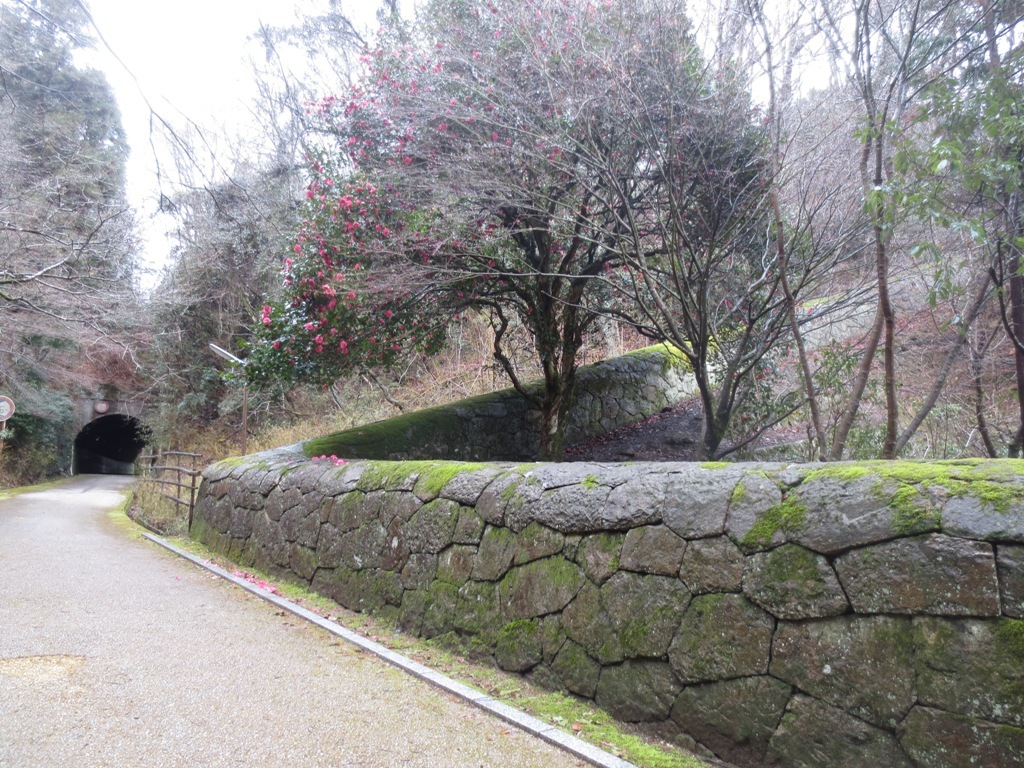 岡山・兵庫 建築視察(6)旧閑谷学校_c0310571_22414049.jpg