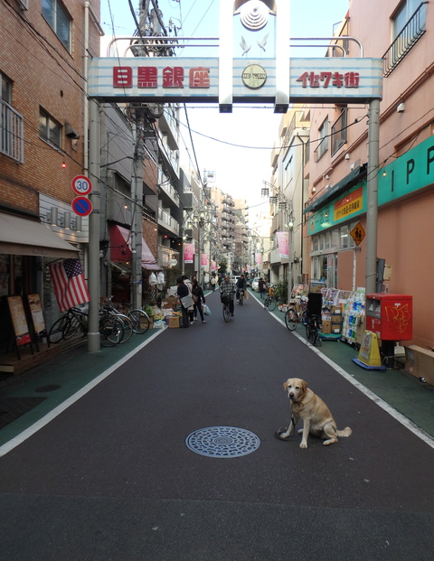 未踏の地、祐天寺〜中目黒_f0052277_3311019.jpg