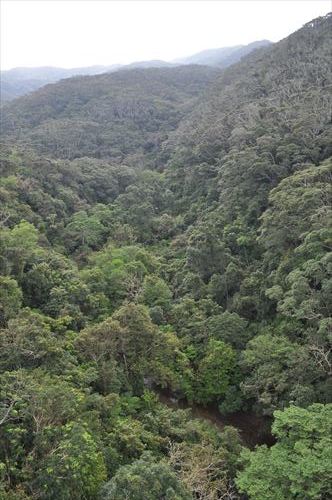 b0346378_14533329.jpg