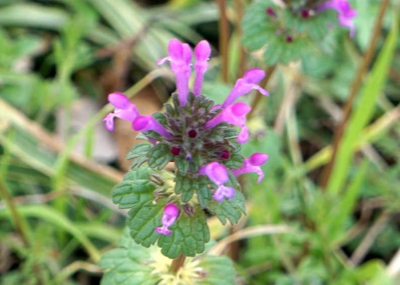 b0057679_962397.jpg