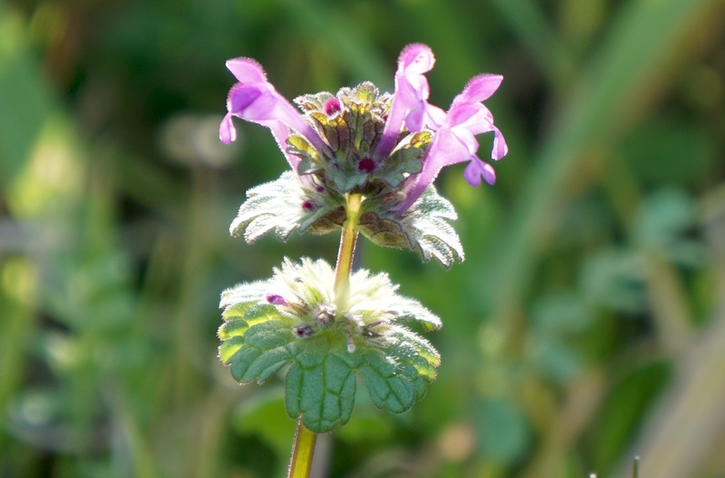 b0057679_964150.jpg