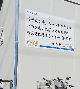 f0228680_1138018.jpg
